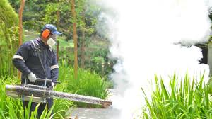 Best Fumigation Services  in West Siloam Springs, OK